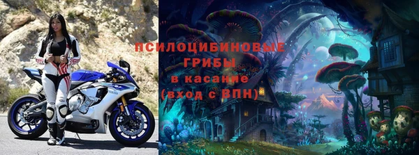 мяу мяу мука Беломорск
