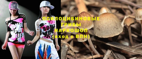 мяу мяу мука Беломорск